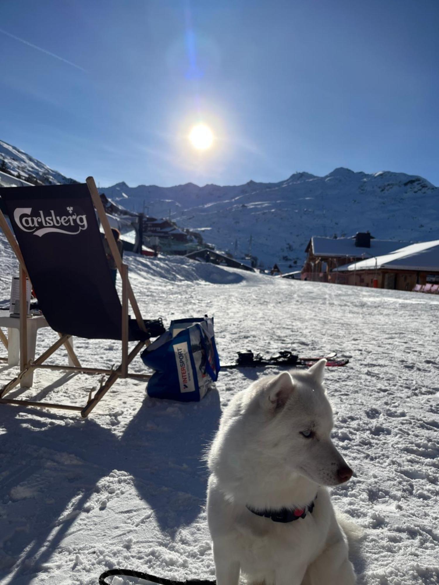 Appartement Les Menuires - 4 Personnes A 20 M Des Pistes サン・マルタン・ド・ベルヴィル エクステリア 写真